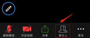 Zoom-rename-1.png